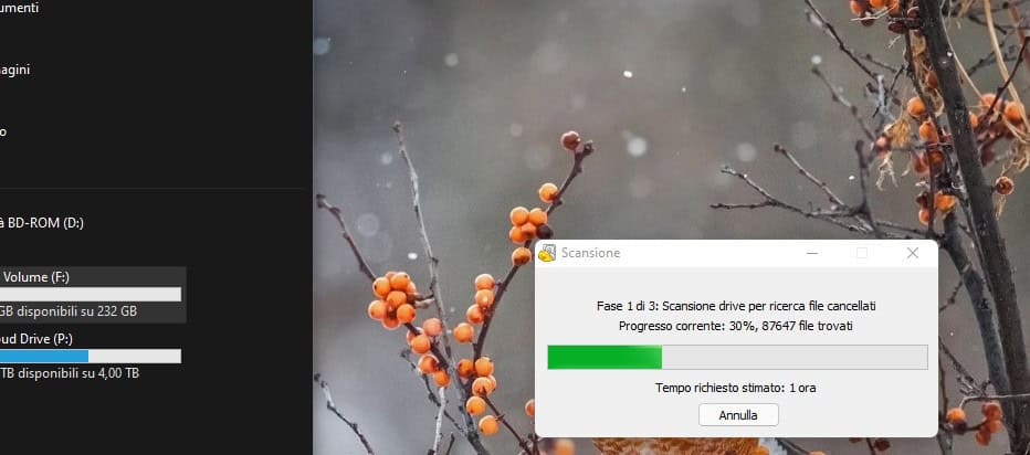 una schermata del software di recupero dati