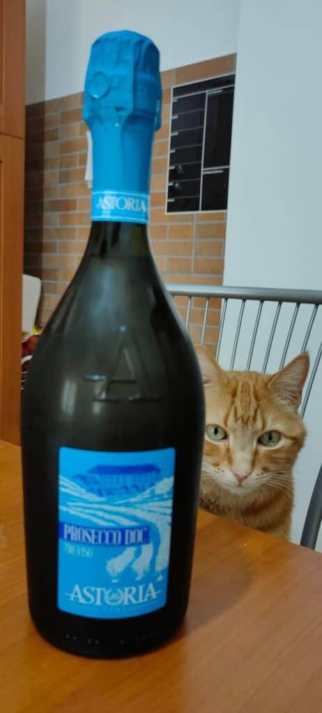 Nino e una bottiglia di prosecco con etichetta azzurra