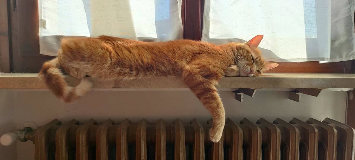 Nino spalmato al sole